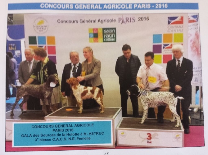 De La Pente D'Eau - Concours Agricole de Paris - Mars 2016