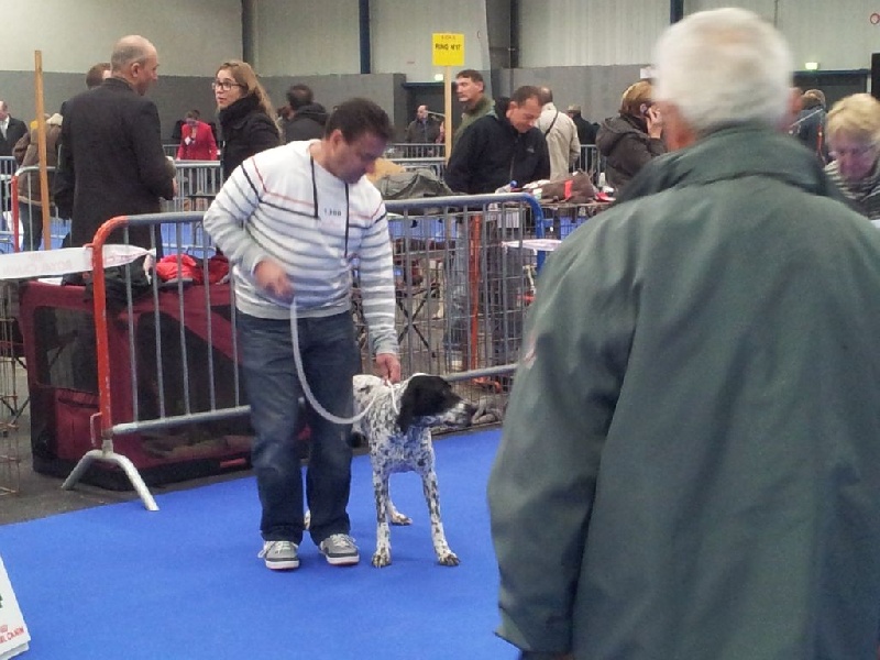 Les  concours